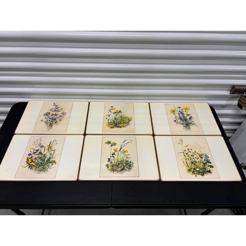 Vintage Made in England Botanical Wildflower Cork Back Placemats Set of 6